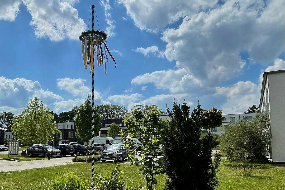 Maibaum aufstellen.