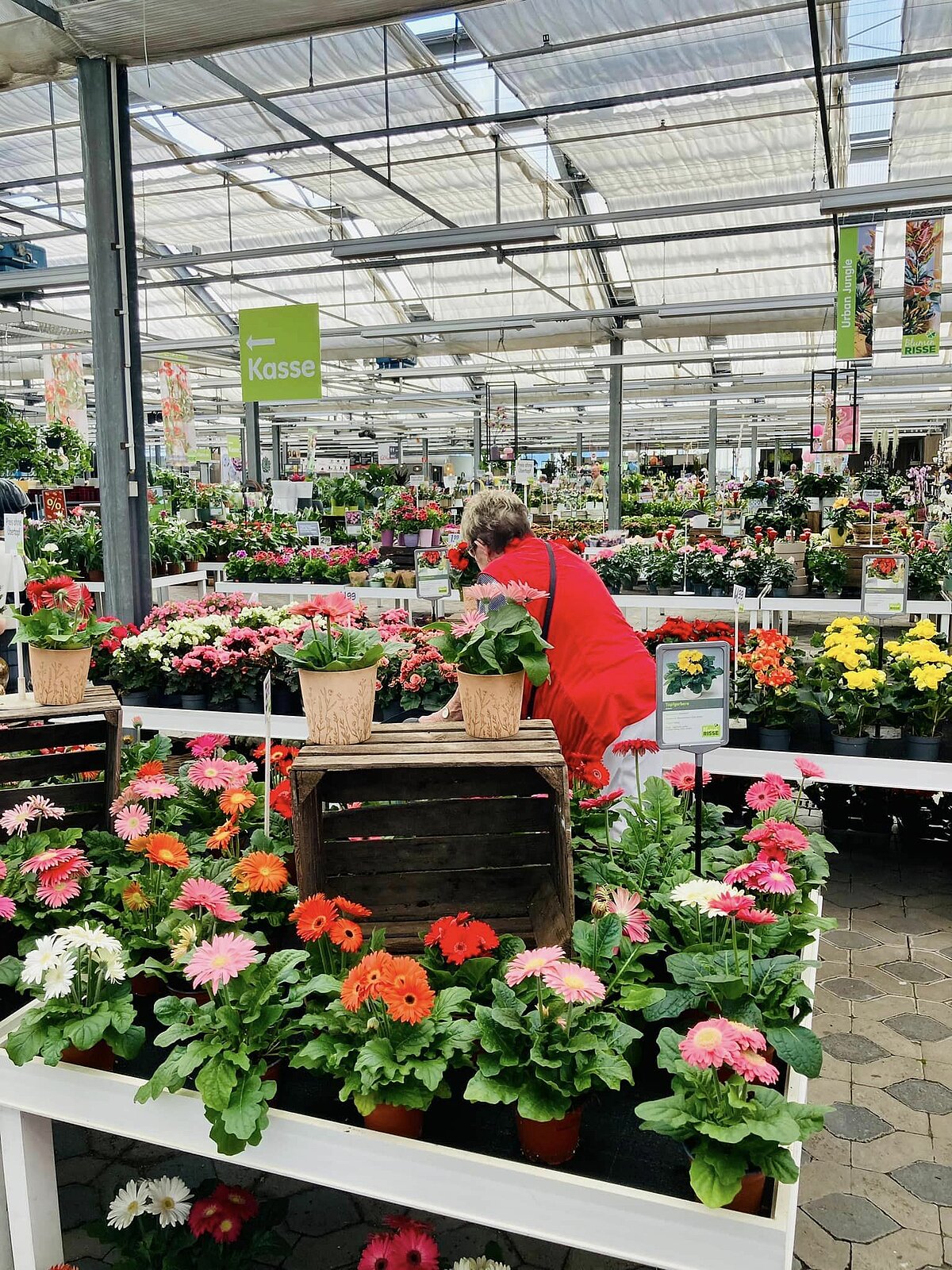 Gartenparadies mit schönen Blumen