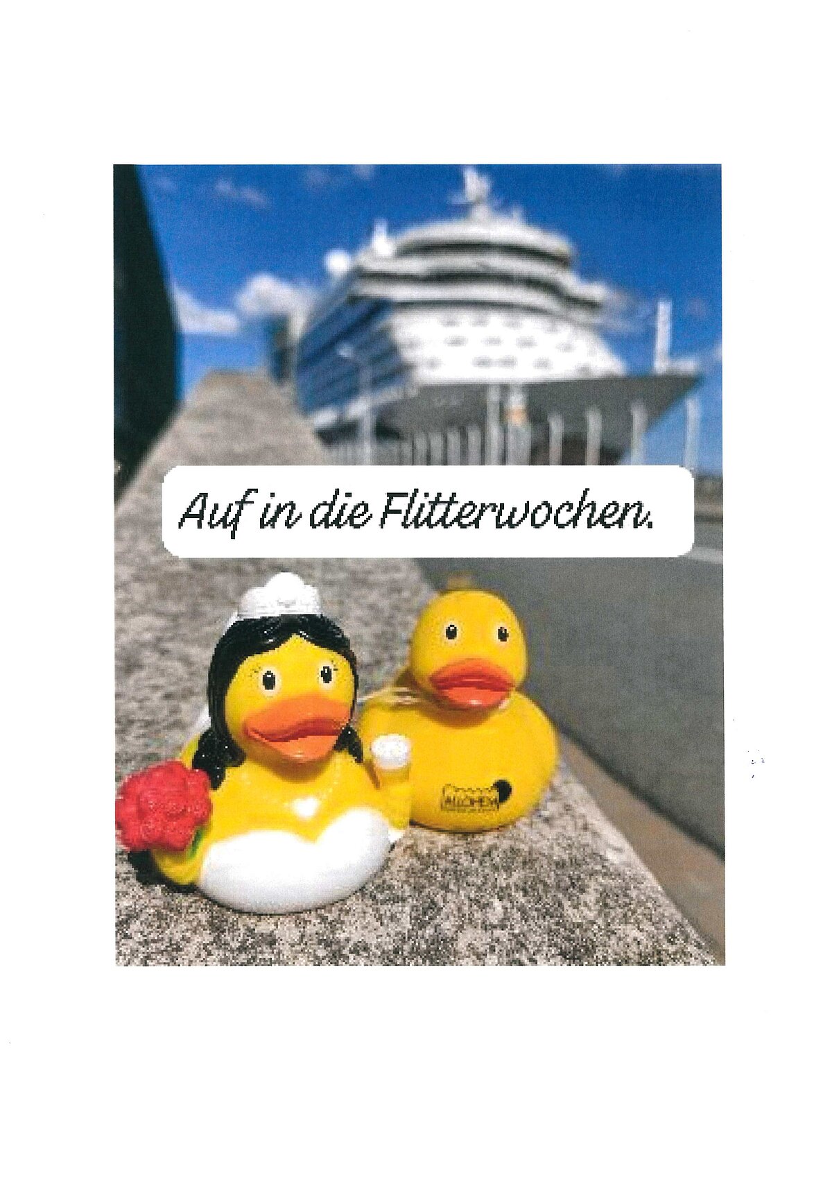 Ente Flitterwochen 2. Nur vom Standort Zwenkau zu verwenden!