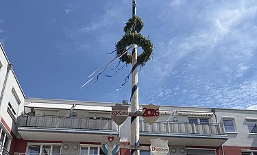 Der neu aufgestellte Maibaum vor dem Kursana Domizil Dachau.