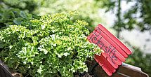 Schön gestalteter Garten im Pflegeheim Herzogenaurach