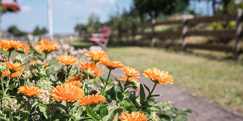 Das Pflegeheim Meerane Haus Hoehenweg lädt ein zum Spaziergang im Garten.