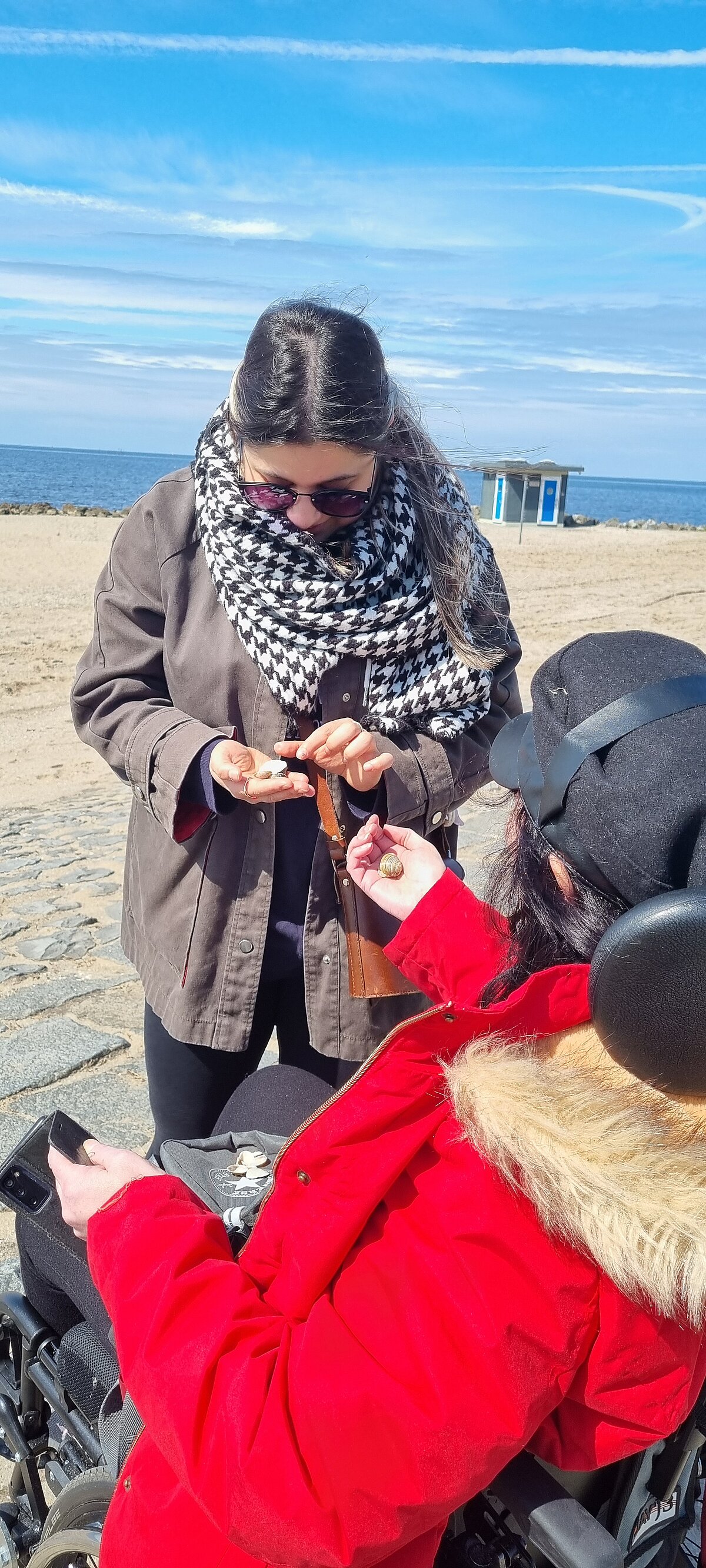 Muschelsucher