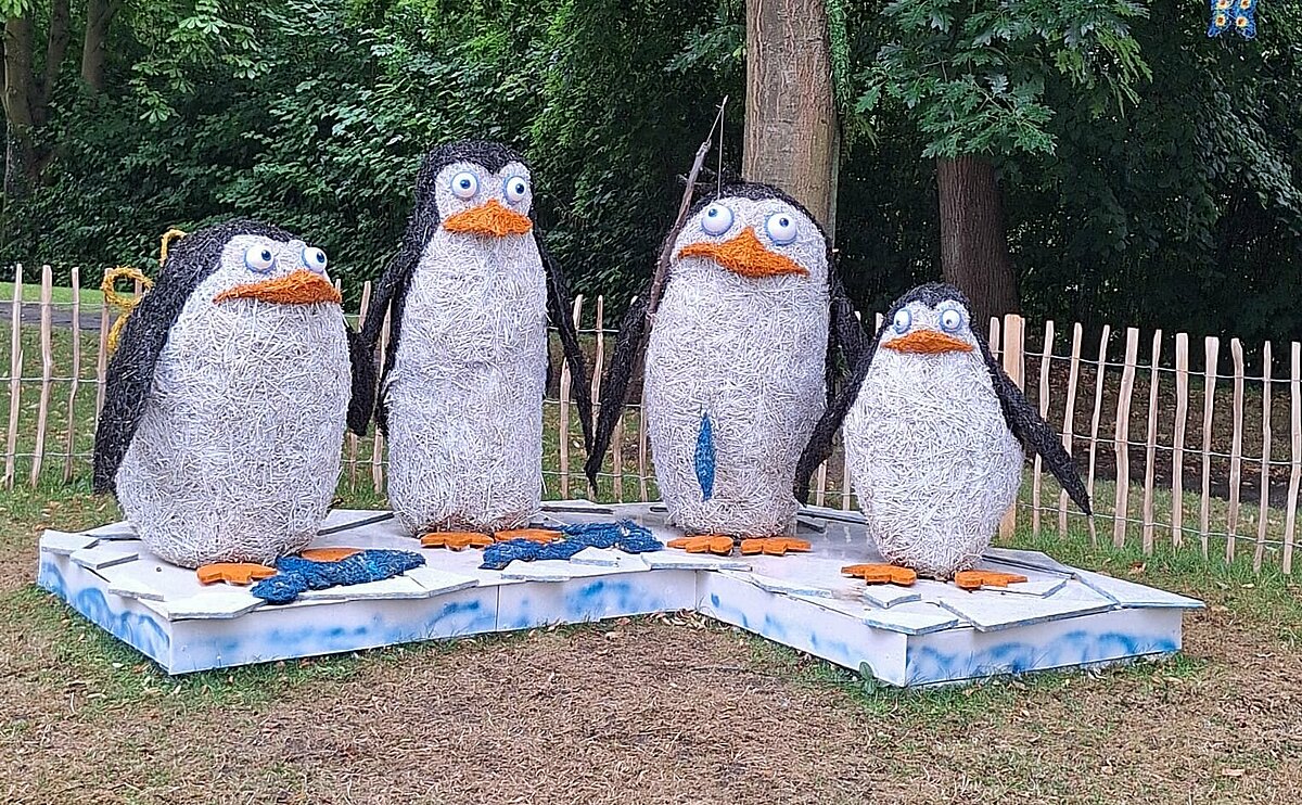 Kunst mit Mais
